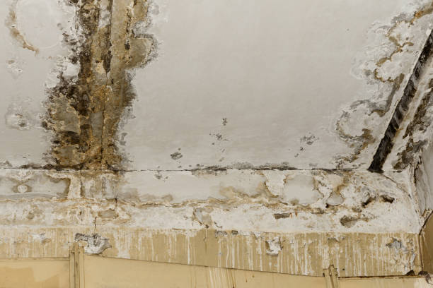 Best Indoor Air Quality Assessment  in East Foothills, CA