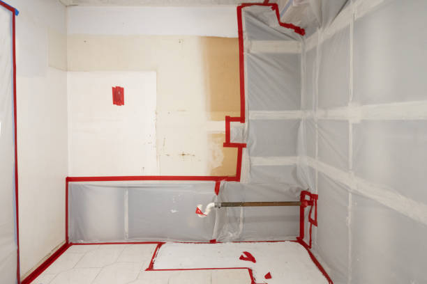 Best Post-Remediation Verification Testing  in East Foothills, CA