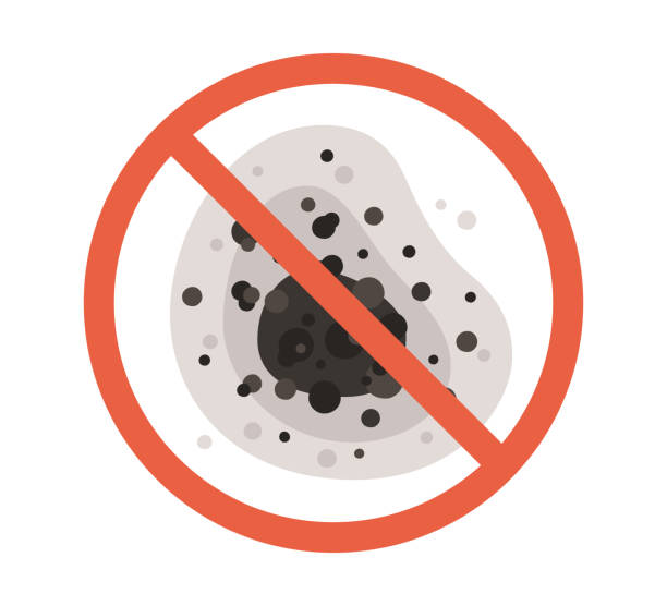 Best Forensic Mold Investigation  in East Foothills, CA