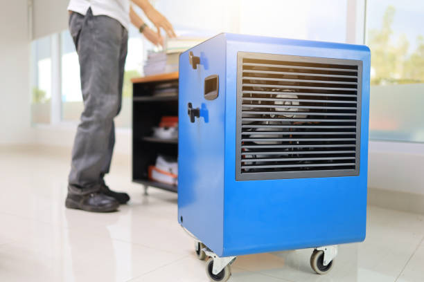 Best Mold Odor Removal Services  in East Foothills, CA