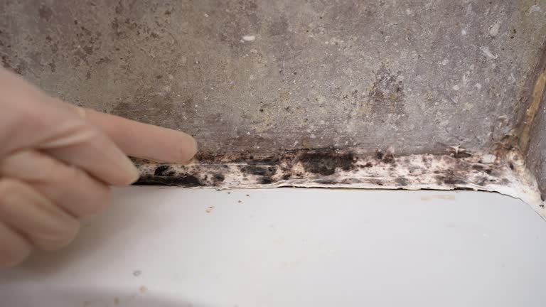 Best Airborne Mold Testing  in East Foothills, CA
